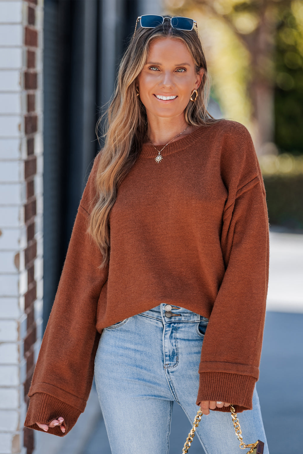 Brauner Lange Ärmel Rundhals Pullover