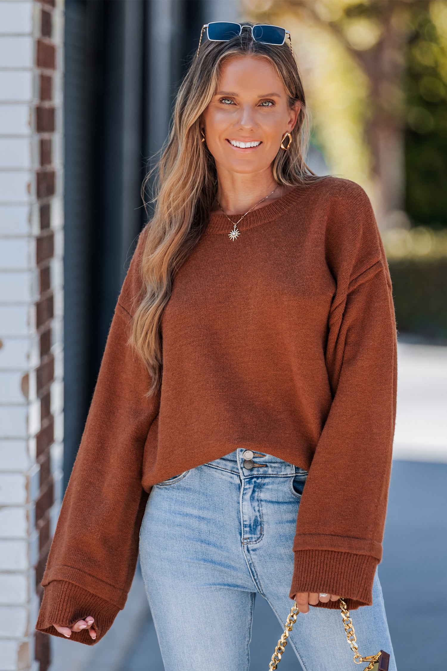 Brauner Lange Ärmel Rundhals Pullover