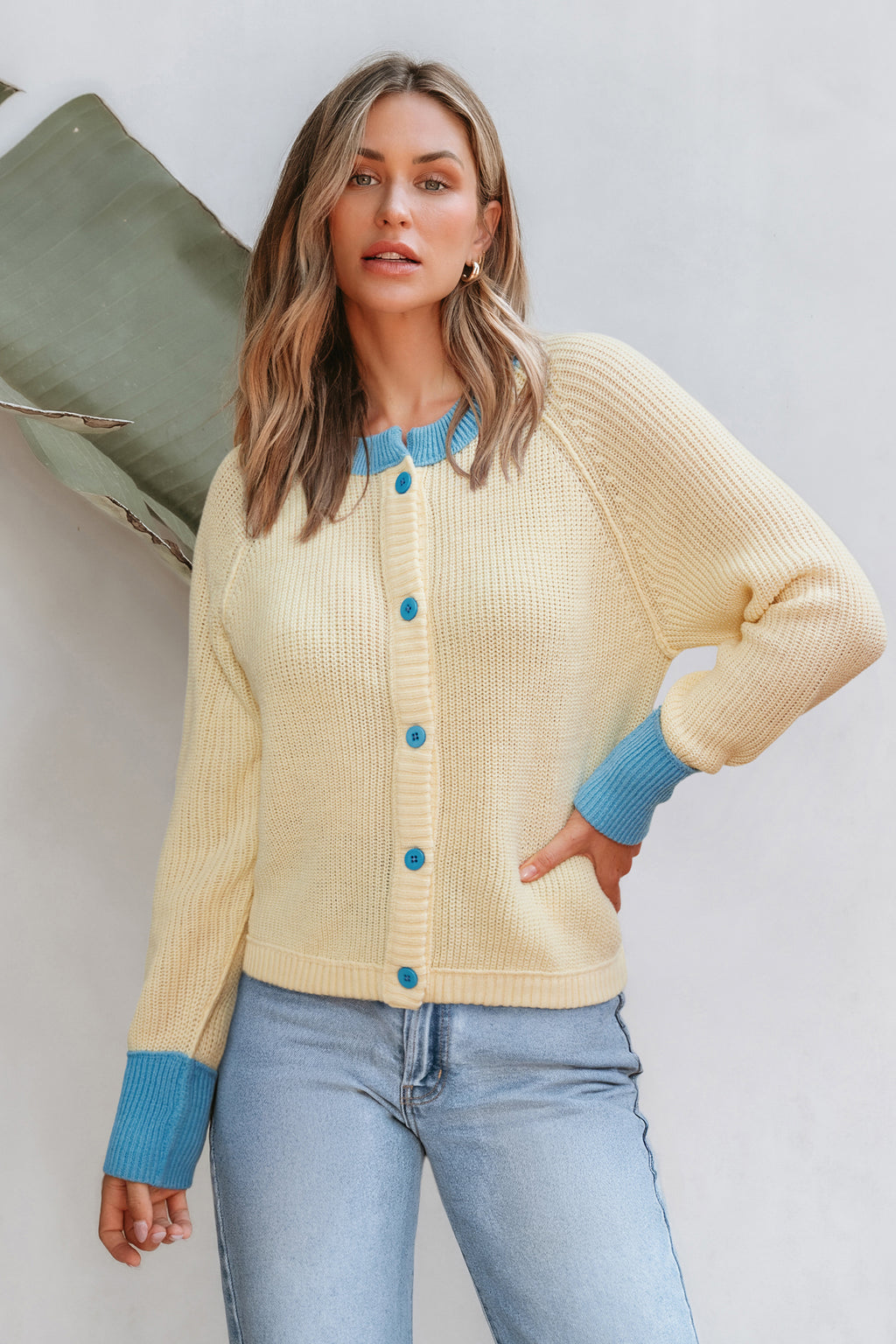 Colorblock Rundhals Strickjacke mit Knopfleiste