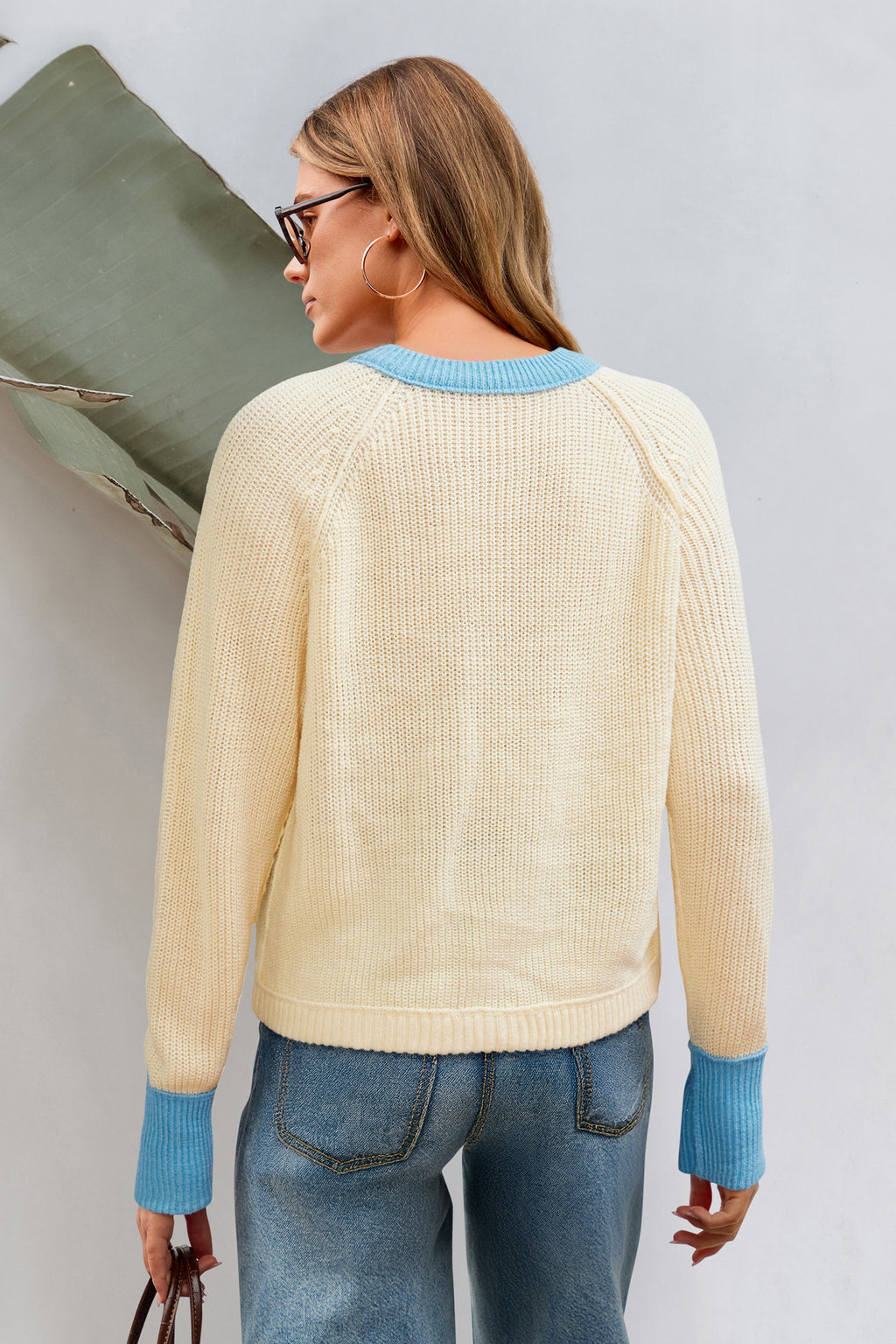 Colorblock Rundhals Strickjacke mit Knopfleiste